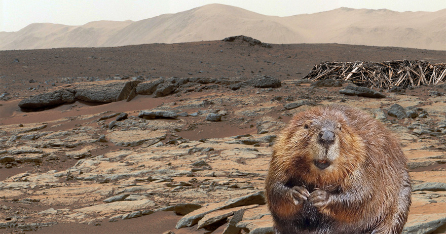 Télescope BIT de l'université de Toronto