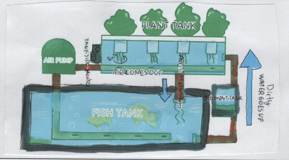 Diagram of the Aquaponics in space system