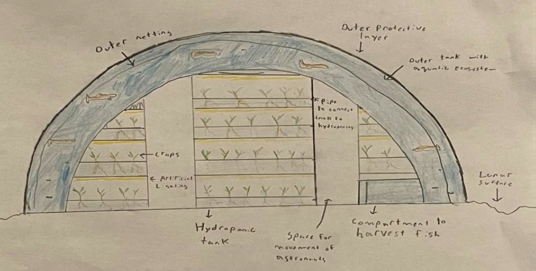 Drawing of a dome-shaped space farming module