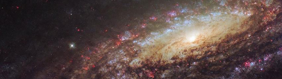 A spiral galaxy