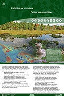 Protéger nos écosystèmes