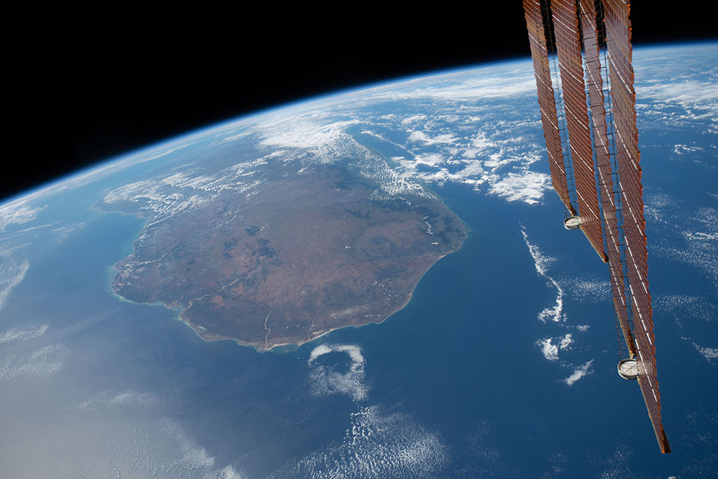 Baobabs are trees that store water in their distinctive large trunks to get through the dry season. There are nine different species, six of which are only found in Madagascar, the island shown in this photo captured by David Saint-Jacques from the International Space Station. (Credit: Canadian Space Agency/NASA)