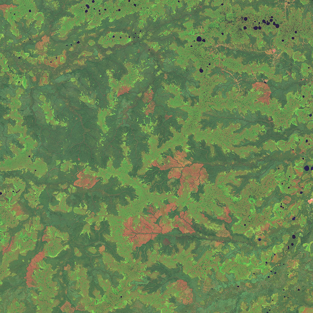 The West Siberian Plain is one of the largest flatland areas in the world. It encompasses multiple biomes, including tundra. (Credit: NASA Landsat)