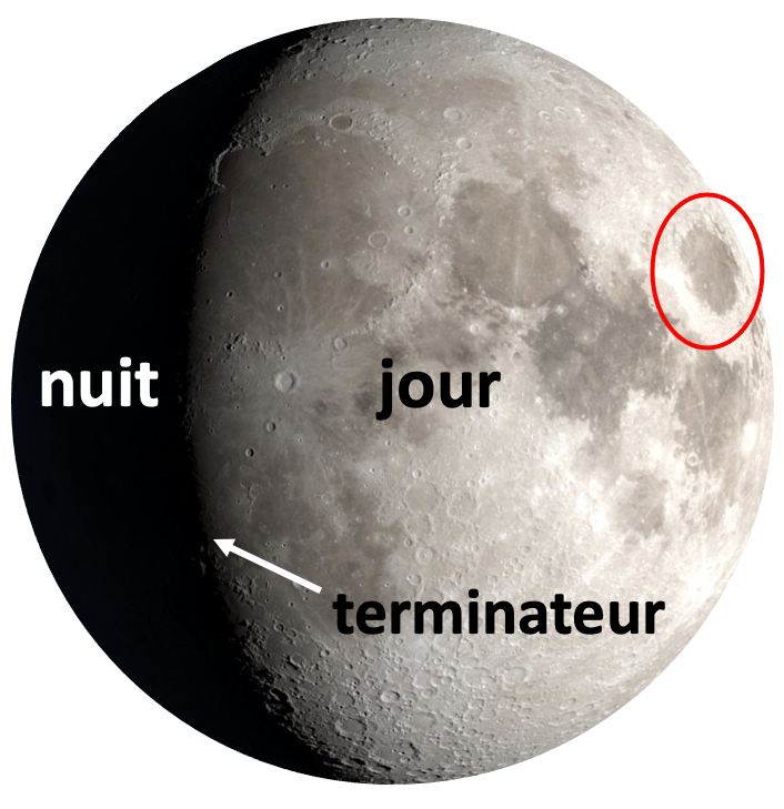 Lune gibbeuse croissante, côtés jour et nuit ainsi que la ligne qui sépare, le terminateur