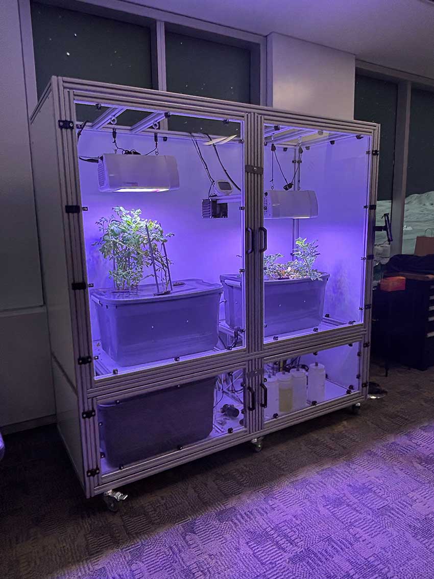 Des plantes poussent dans des bacs à l'intérieur d'une armoire vitrée munie de deux portes et d'un éclairage violet.