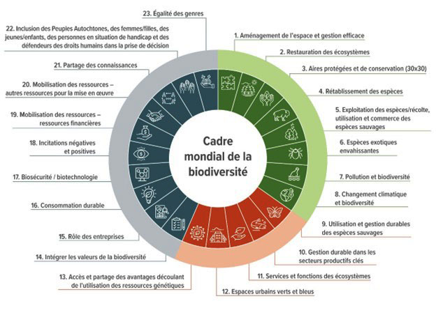 La mobilisation des satellites pour l'action en faveur de la biodiversité