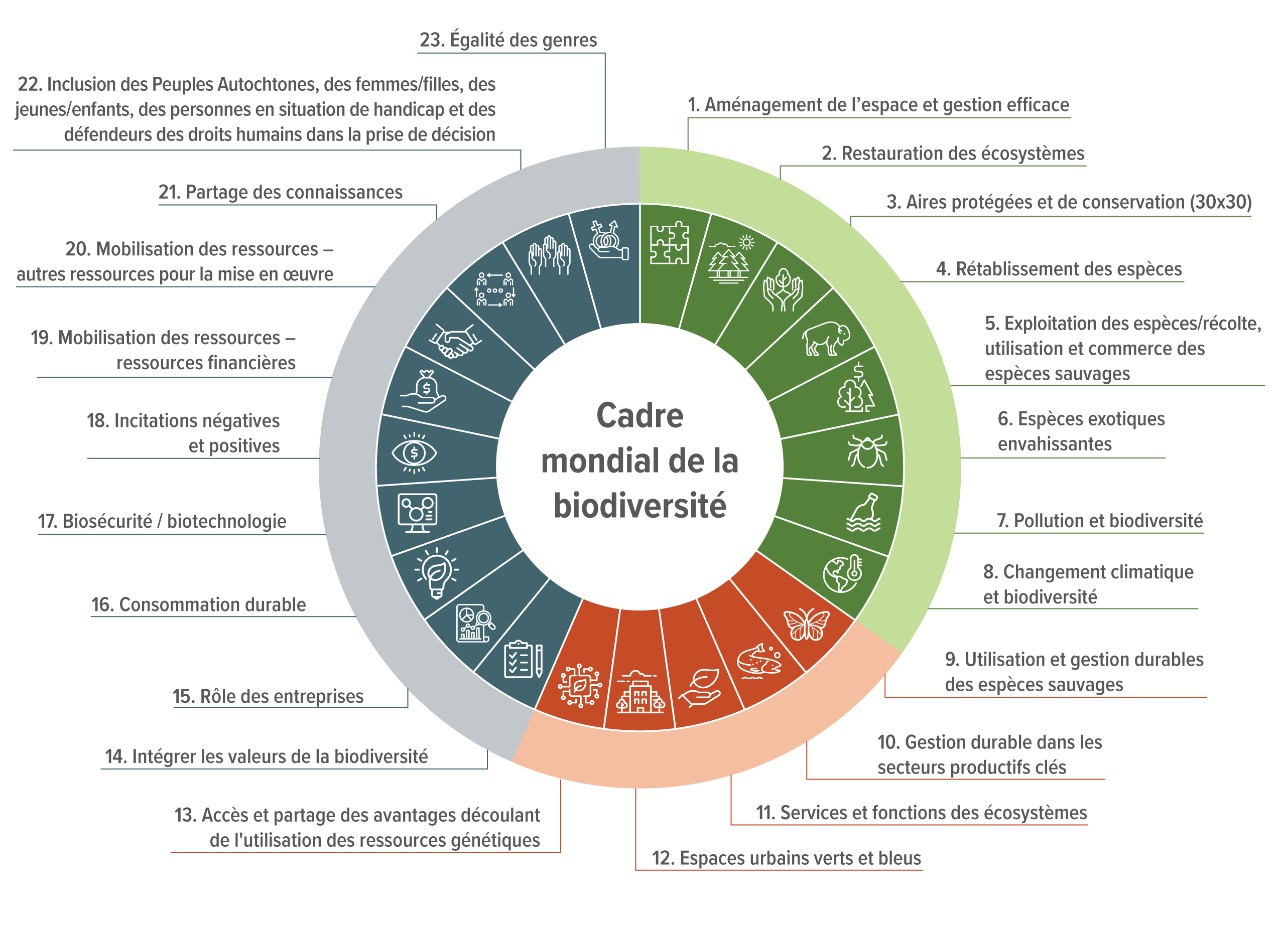 Les trois thèmes du Cadre mondial de la biodiversité et les objectifs respectifs.