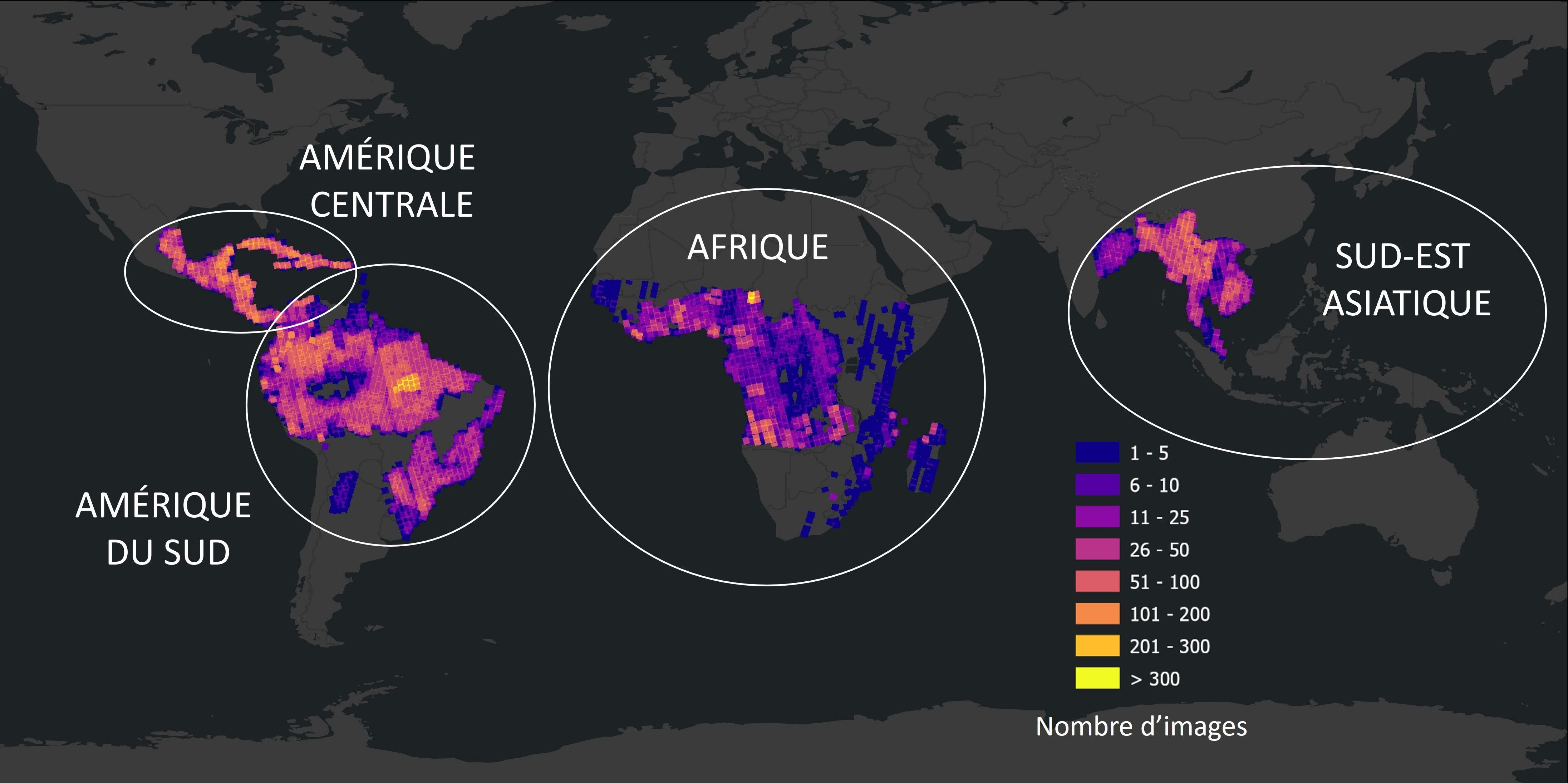 Carte du monde montrant le nombre de jeux de données acquis dans les régions tropicales.