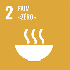 Icône 2 faim «zéro»