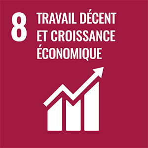 Icône 8 travail décent et croissance économique