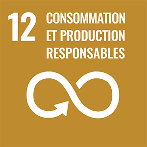 Icône 12 consommation et production responsables