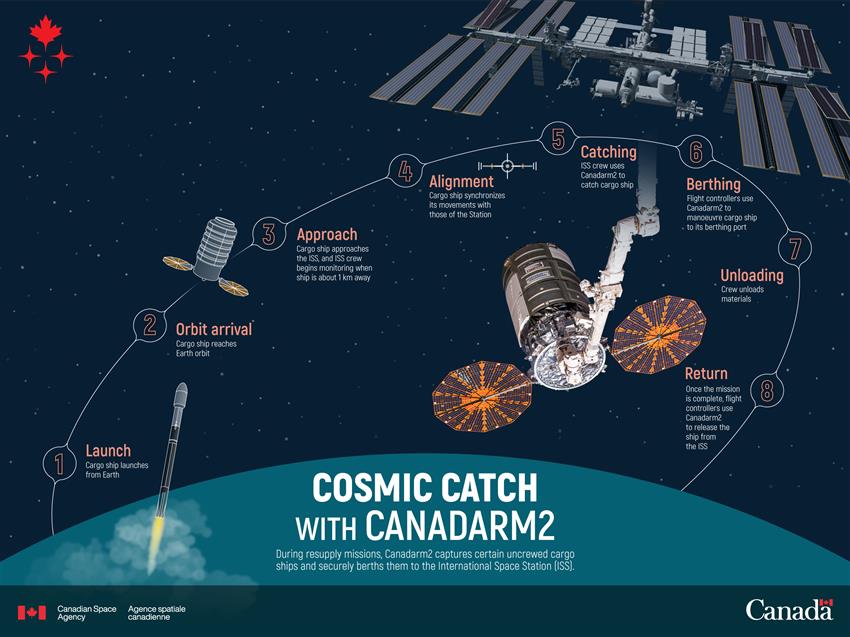 Infographic about the cosmic catch of an uncrewed cargo ship with Canadarm2.