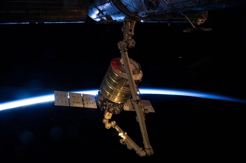 Cygnus