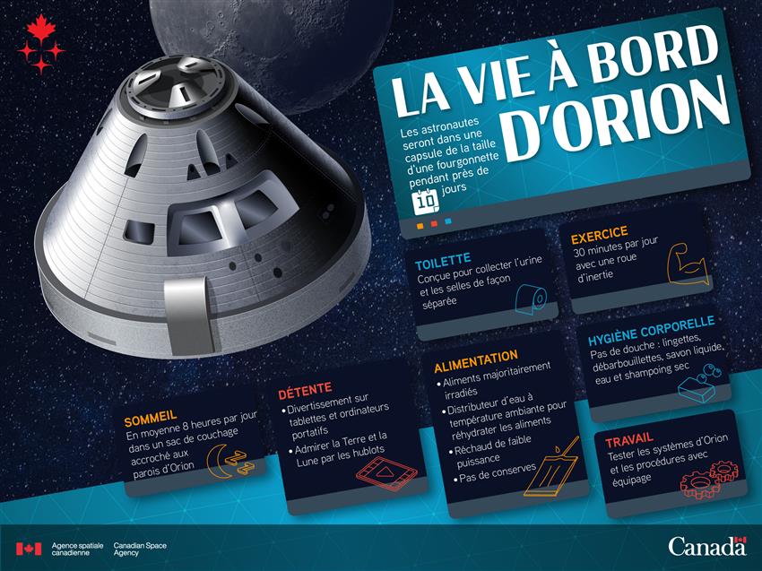 Infographie sur la vie à bord d'Orion.