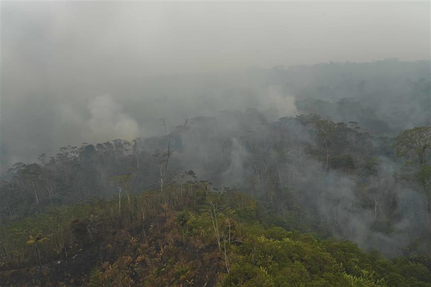 Feux de forêt au Panama