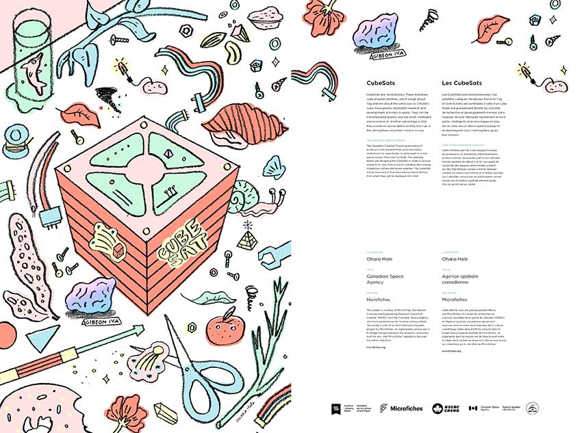 CubeSats and the Canadian CubeSats Project