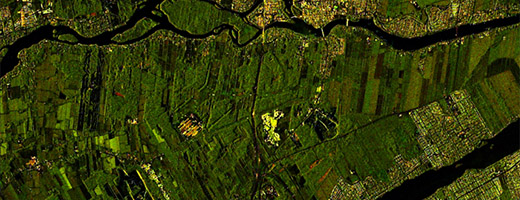Image de la Constellation RADARSAT