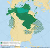 Apr. 1 to June 30, 2020 - Medium resolution&nbsp;– 50&nbsp;metres