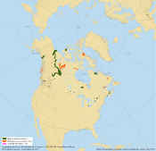 Oct. 1 to Dec. 31, 2020 - Other seasonal