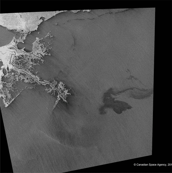 Map showing the oil spill in the Gulf of Mexico.