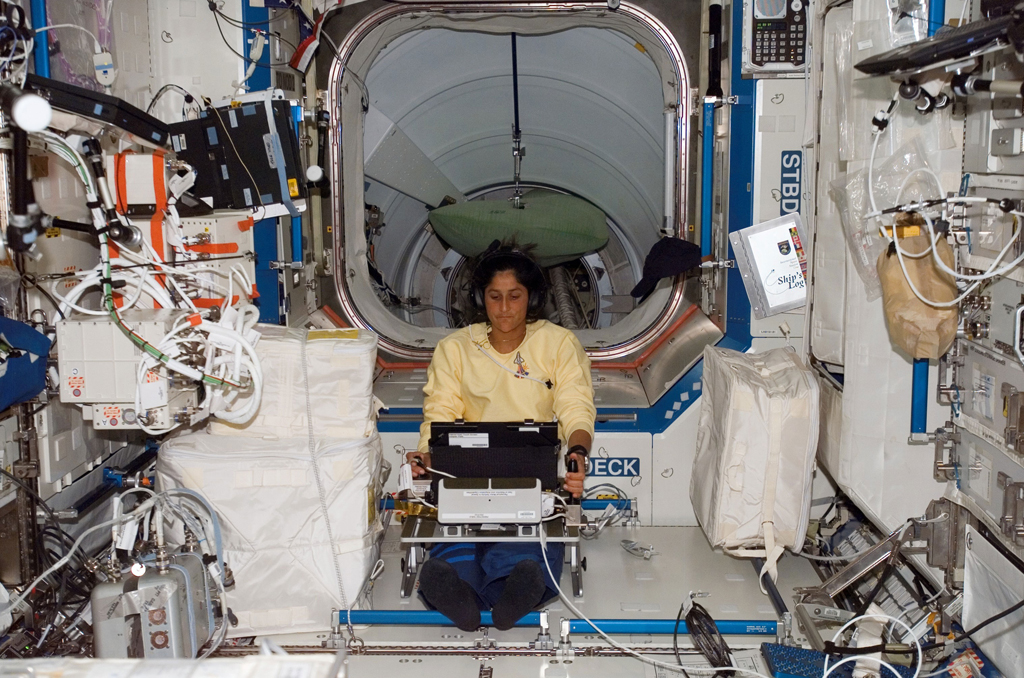 Astronaut Suni Williams working with PMDIS