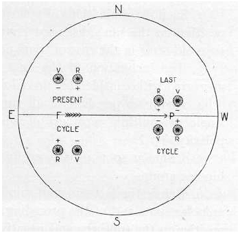 Hale's laws of polarity